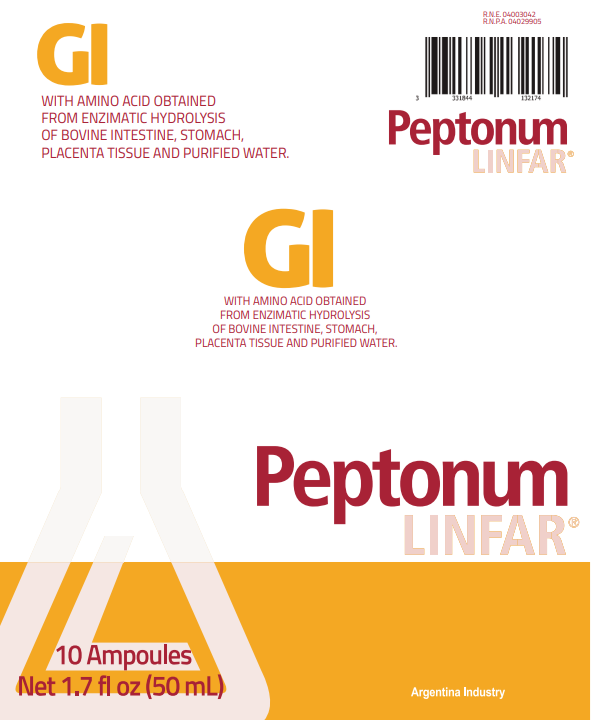Peptonum Linfar GI – Gastrointestinal | Liquid Amino Acid Supplement, 10 Ampoules (50 mL)