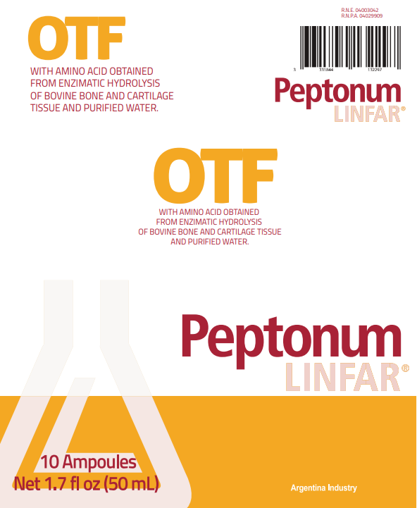 Peptonum Linfar OTF – Osteotrophic | Liquid Amino Acid Supplement, 10 Ampoules (50 mL)