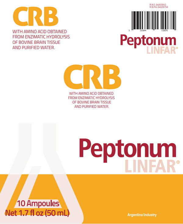 Peptonum Linfar CRB – Brain | Liquid Amino Acid Supplement, 10 Ampoules (50 mL)