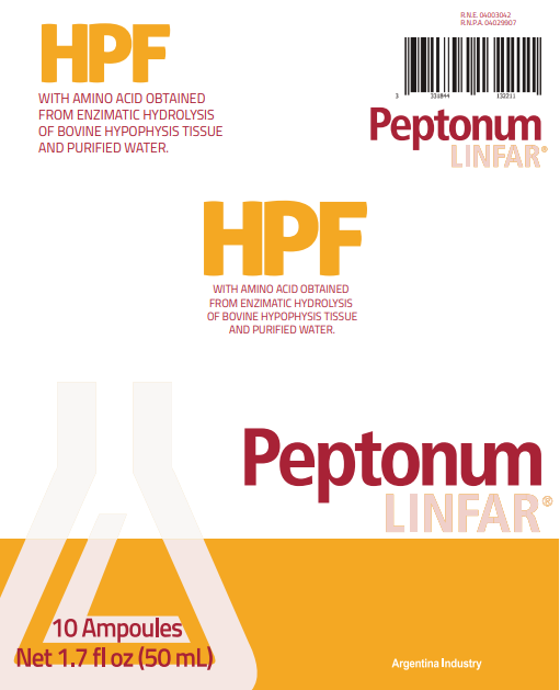 Peptonum Linfar HPT – Hypothalamus | Liquid Amino Acid Supplement, 10 Ampoules (50 mL)