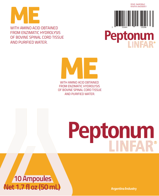 Peptonum Linfar ME – Spinal Cord | Liquid Amino Acid Supplement, 10 Ampoules (50 mL)