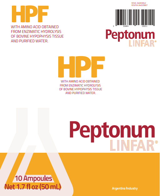 Peptonum Linfar HPF – Hypophysis / Pituitary | Liquid Amino Acid Supplement, 10 Ampoules (50 mL)